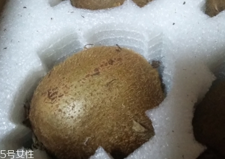 綠心獼猴桃硬的能吃嗎？硬的綠心獼猴桃能吃嗎？