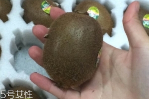 綠心獼猴桃怎么催熟？綠心獼猴桃的催熟方法