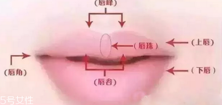 唇珠是什么 玻尿酸豐唇珠效果好嗎 唇珠是什么 玻尿酸豐唇珠效果好嗎