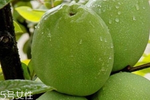 野木瓜泡酒有什么功效 野木瓜泡酒方法 野木瓜泡酒有什么功效 野木瓜泡酒方法