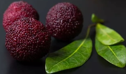 烏酥楊梅什么時(shí)候成熟？烏酥楊梅的產(chǎn)地