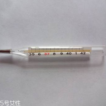 體溫計多少錢？體溫計價格