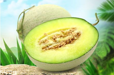 網(wǎng)紋瓜怎么切 網(wǎng)紋瓜的挑選技巧 網(wǎng)紋瓜怎么切 網(wǎng)紋瓜的挑選技巧