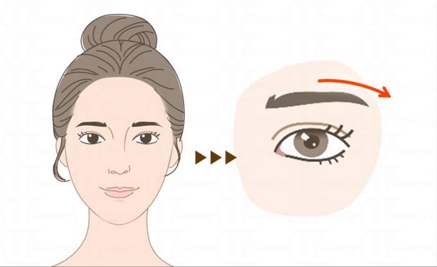 不同的臉型適合的眉毛 什么臉型適合眉毛 不同的臉型適合的眉毛 什么臉型適合眉毛