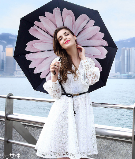 太陽傘一般多少錢？太陽傘市場價格