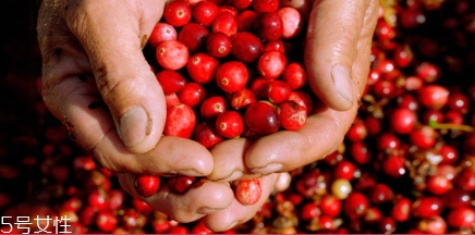 蔓越莓膠囊和月見(jiàn)草可以一起吃嗎？蔓越莓和月見(jiàn)草哪個(gè)好