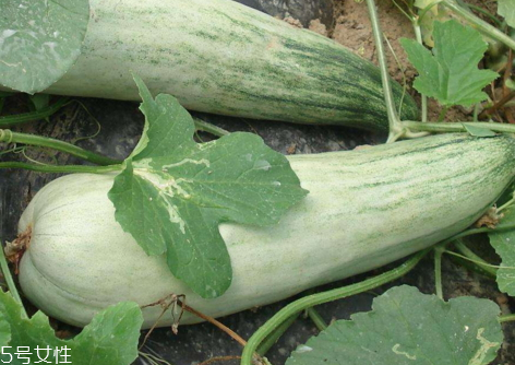 羊角脆和羊角蜜哪個好 羊角脆是熱性還是涼性 羊角脆和羊角蜜哪個好 羊角脆是熱性還是涼性