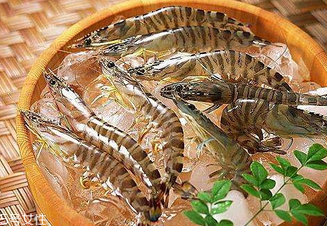 醉蝦可以放多久 醉蝦泡酒方法 醉蝦可以放多久 醉蝦泡酒方法