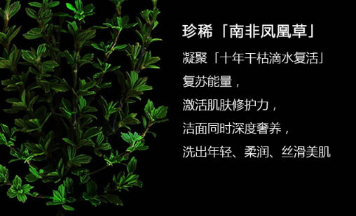 阿瑪尼洗面奶怎么樣？阿瑪尼洗面奶評(píng)測