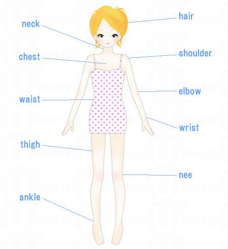 香水噴在哪里最好 香水要噴在哪個部位 香水噴在哪里最好 香水要噴在哪個部位