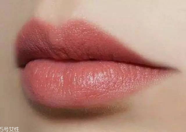 干燥玫瑰色是什么顏色 干燥玫瑰色口紅推薦 干燥玫瑰色是什么顏色 干燥玫瑰色口紅推薦