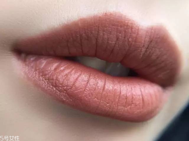 干燥玫瑰色是什么顏色 干燥玫瑰色口紅推薦 干燥玫瑰色是什么顏色 干燥玫瑰色口紅推薦