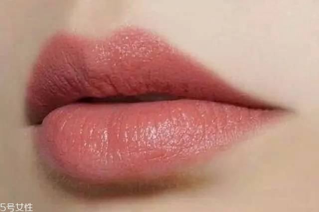 干燥玫瑰色是什么顏色 干燥玫瑰色口紅推薦 干燥玫瑰色是什么顏色 干燥玫瑰色口紅推薦