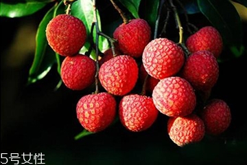 荔枝殼的功效和作用 荔枝殼去火嗎？