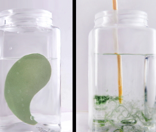 悅蕾眼膜多少錢一盒？悅蕾眼膜一盒多少片