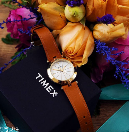 手表皮帶怎么清洗？手表皮帶清洗方法