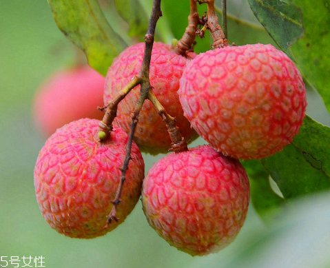 荔枝是涼性還是熱性？月經(jīng)來了能吃荔枝嗎