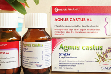 孕婦可以吃圣潔莓嗎？備孕期間可以吃圣潔莓嗎