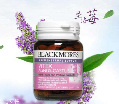 圣潔莓吃了月經推遲正常嗎？圣潔莓會導致月經推遲嗎？