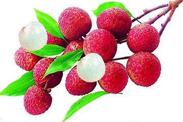 荔枝的品種 荔枝有哪些種類(lèi)？