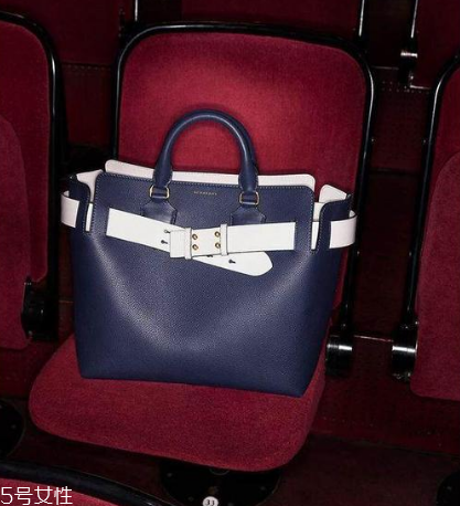 burberry the belt是什么皮？巴寶莉貝爾特包材質(zhì)