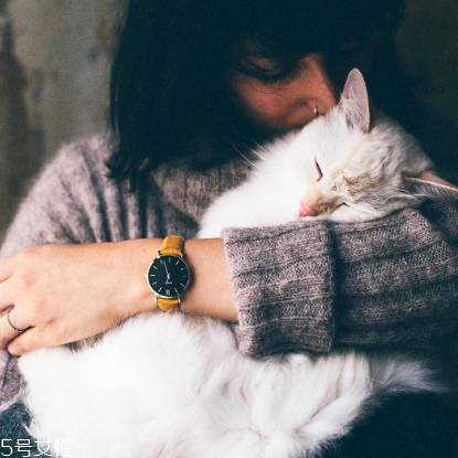 cluse手表多少錢？cluse手表正品價(jià)格