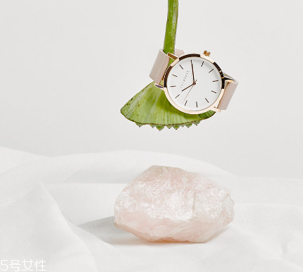 the horse手表多少錢？the horse手表價位