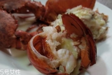 波士頓龍蝦能活多久？波士頓龍蝦能活幾天？