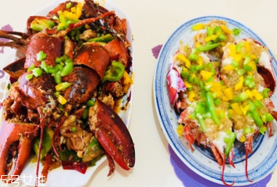 波士頓龍蝦能活多久？波士頓龍蝦能活幾天？