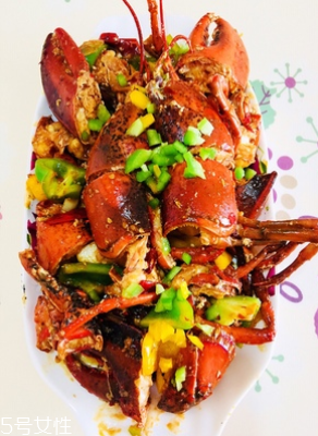 波士頓龍蝦能活多久？波士頓龍蝦能活幾天？