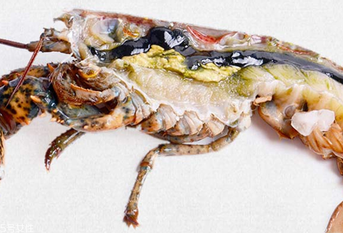 波士頓龍蝦能生吃嗎？波士頓龍蝦適合生吃嗎？
