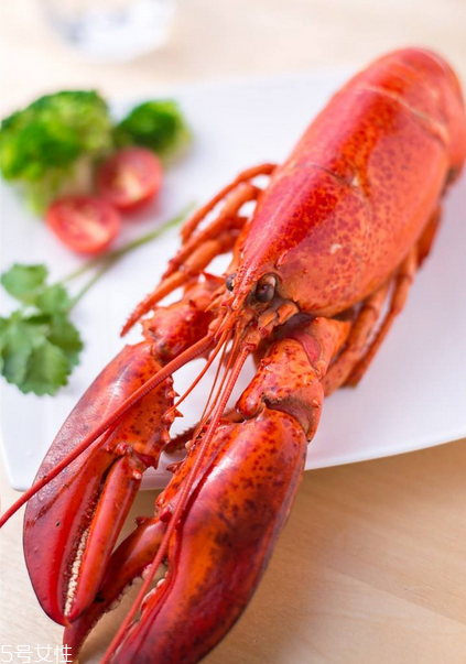 波士頓龍蝦清蒸多久？波士頓龍蝦蒸幾分鐘？