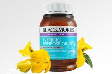 月見草膠囊的成分 月見草膠囊有哪些成分？