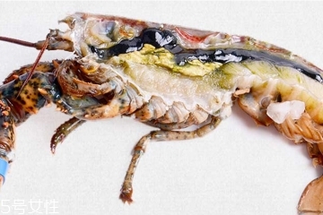 波士頓龍蝦頭里綠色的是什么？