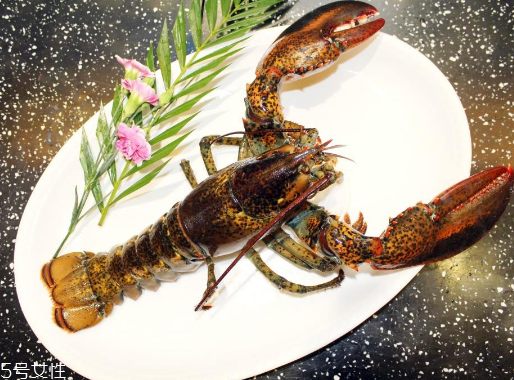 波士頓龍蝦頭部怎么處理？波士頓龍蝦蝦頭處理方法