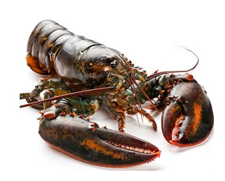 波士頓龍蝦死了還能吃嗎？死的波士頓龍蝦能吃嗎？