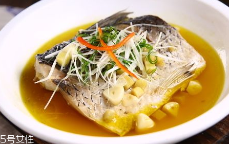 青魚怎么養(yǎng)殖?青魚好養(yǎng)嗎？