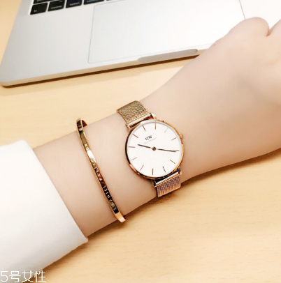 手表洗油是什么意思？手表洗油是干什么？