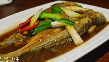 青魚是鯉魚嗎？青魚和鯉魚是不是一樣的？