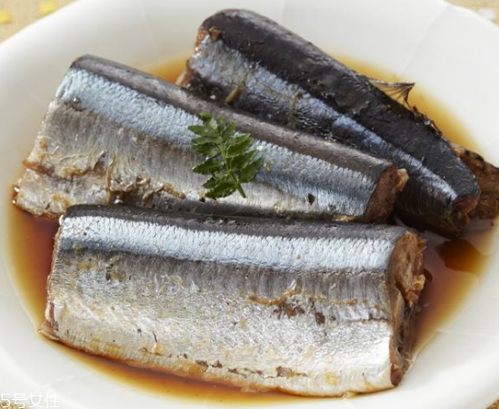 青魚怎么釣？青魚可以用什么餌料？