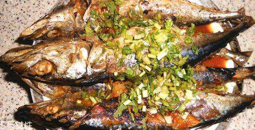 青魚(yú)和鲅魚(yú)的區(qū)別 青魚(yú)和鲅魚(yú)哪個(gè)更好吃 青魚(yú)和鲅魚(yú)的區(qū)別 青魚(yú)和鲅魚(yú)哪個(gè)更好吃