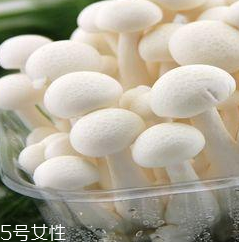 白玉菇的營養(yǎng)價值 白玉菇有什么營養(yǎng)？