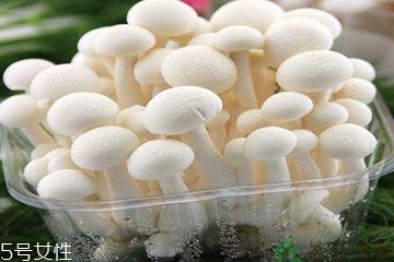 白玉菇為什么是苦的？白玉菇怎么會(huì)苦？