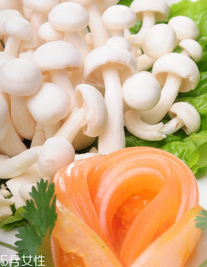 白玉菇和金針菇的區(qū)別 白玉菇是金針菇嗎？