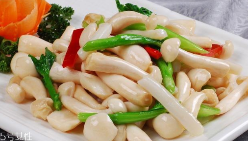 白玉菇的吃法 白玉菇能燉雞嗎？