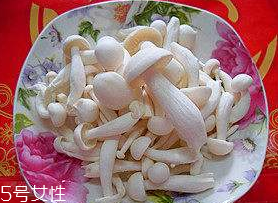 白玉菇能和西紅柿一起吃嗎？白玉菇能和番茄一起吃嗎？