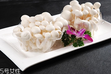 白玉菇長白毛是怎么回事？白玉菇長白毛還能吃嗎？