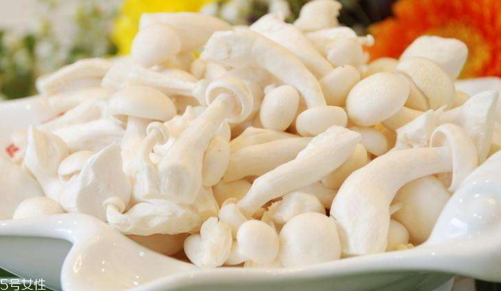 白玉菇長(zhǎng)白毛是怎么回事？白玉菇長(zhǎng)白毛還能吃嗎？