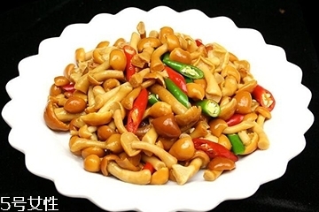 滑子菇是什么？滑子菇能吃嗎？