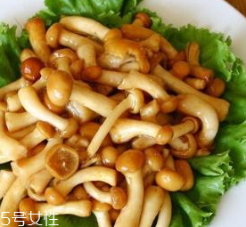 滑子菇的功效 滑子菇有什么作用？